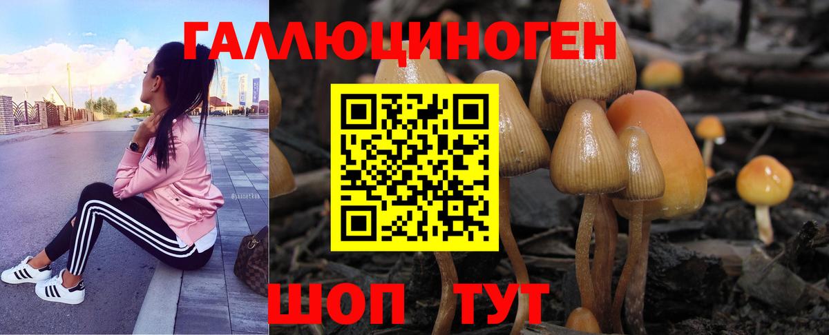где продают наркотики  Псилоцибиновые грибы MAGIC MUSHROOMS  Вход с VPN  Якутск 